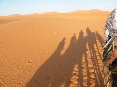 DSCN2174