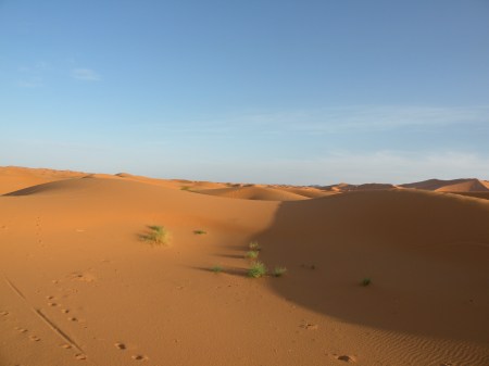 DSCN2176