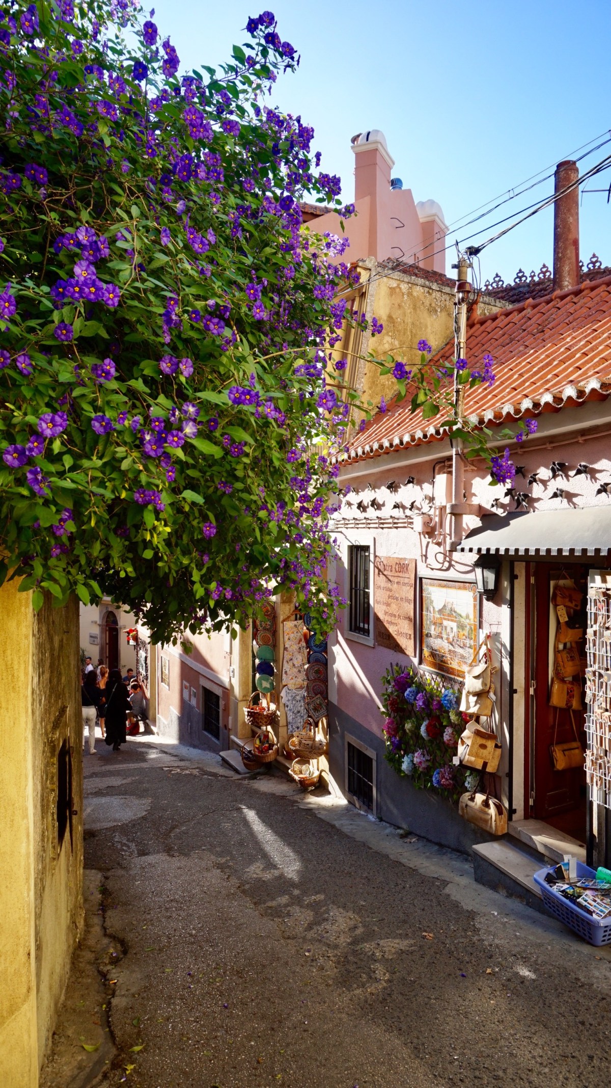 307D5893-754F-45DC-A6B2-E6314D2B0437