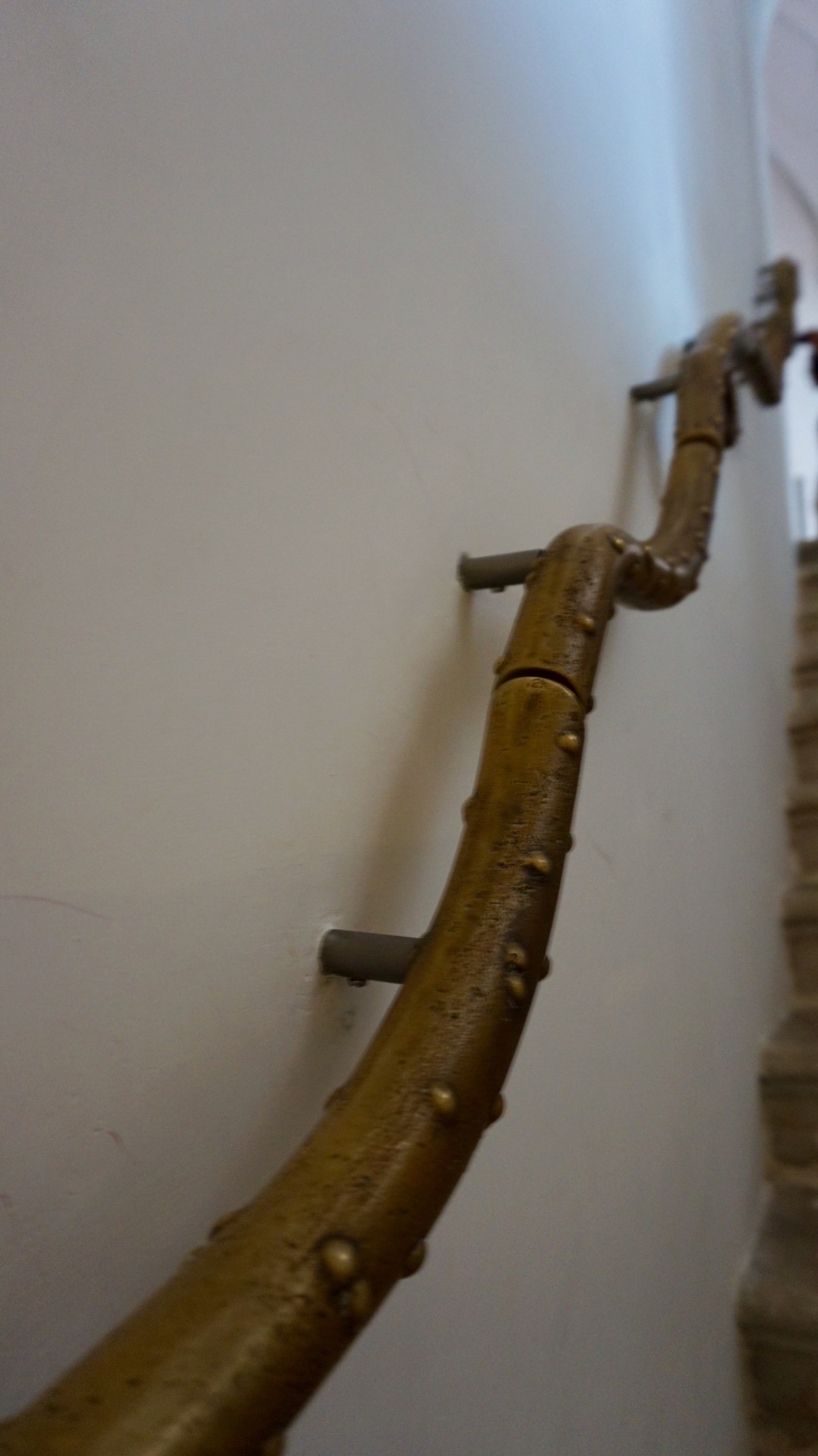 60611540-832A-439B-86F5-C1D26CA384E5