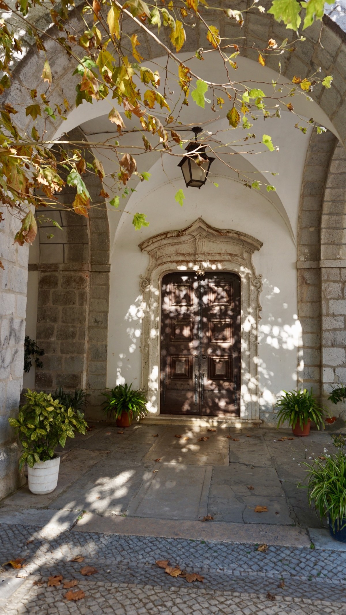 C180B4E1-9B76-4FFE-85F4-0127A5A2CFCC