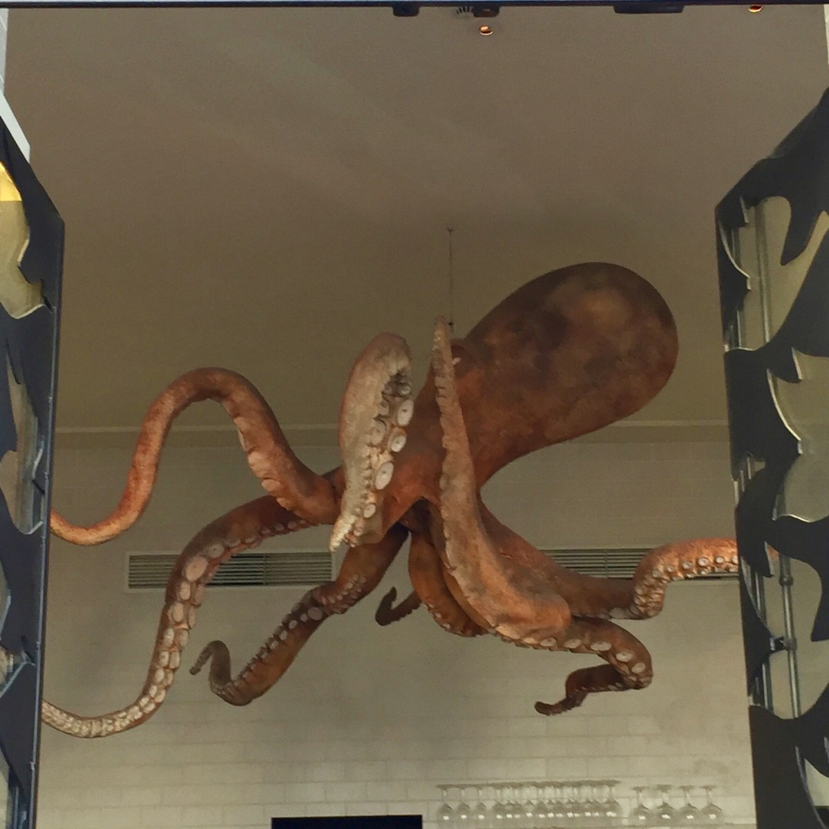 0F5800DB-E641-4B5A-8662-C782A18480DC