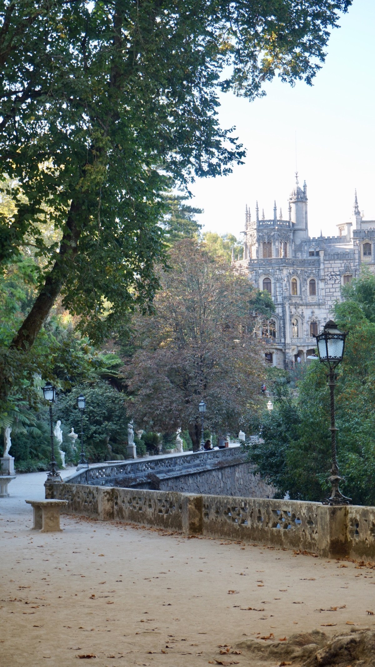 1B6BA49E-419F-4E88-85FC-CDFE05FEA5A8