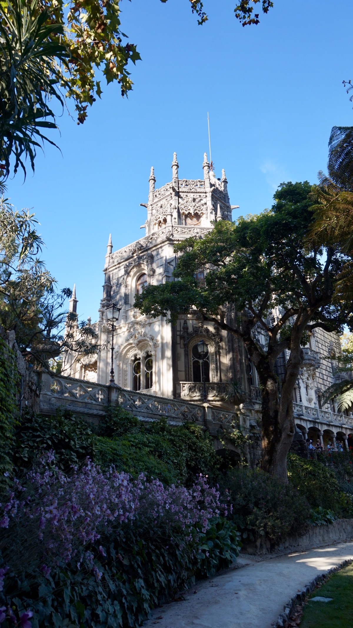 5AD9F51E-7771-4FE4-ABC6-0BA9551DB536