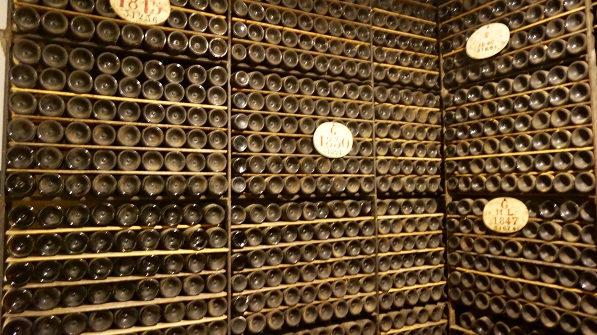 97C9FC85-DF25-472C-ADFD-08C77DFDF2FF