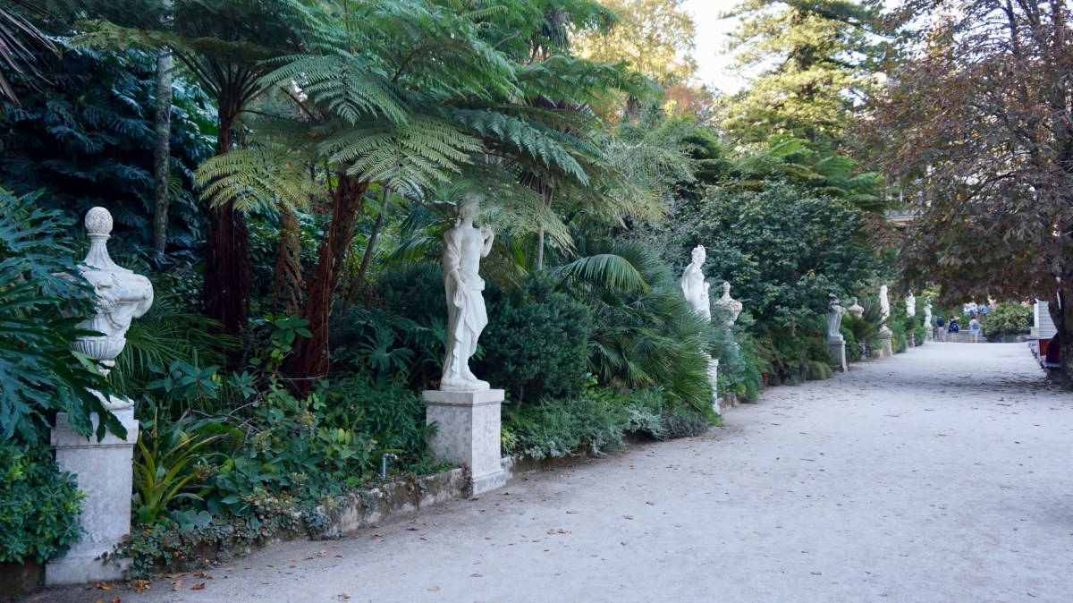 9CBD9528-9779-443E-8E5A-B34B3874CB91