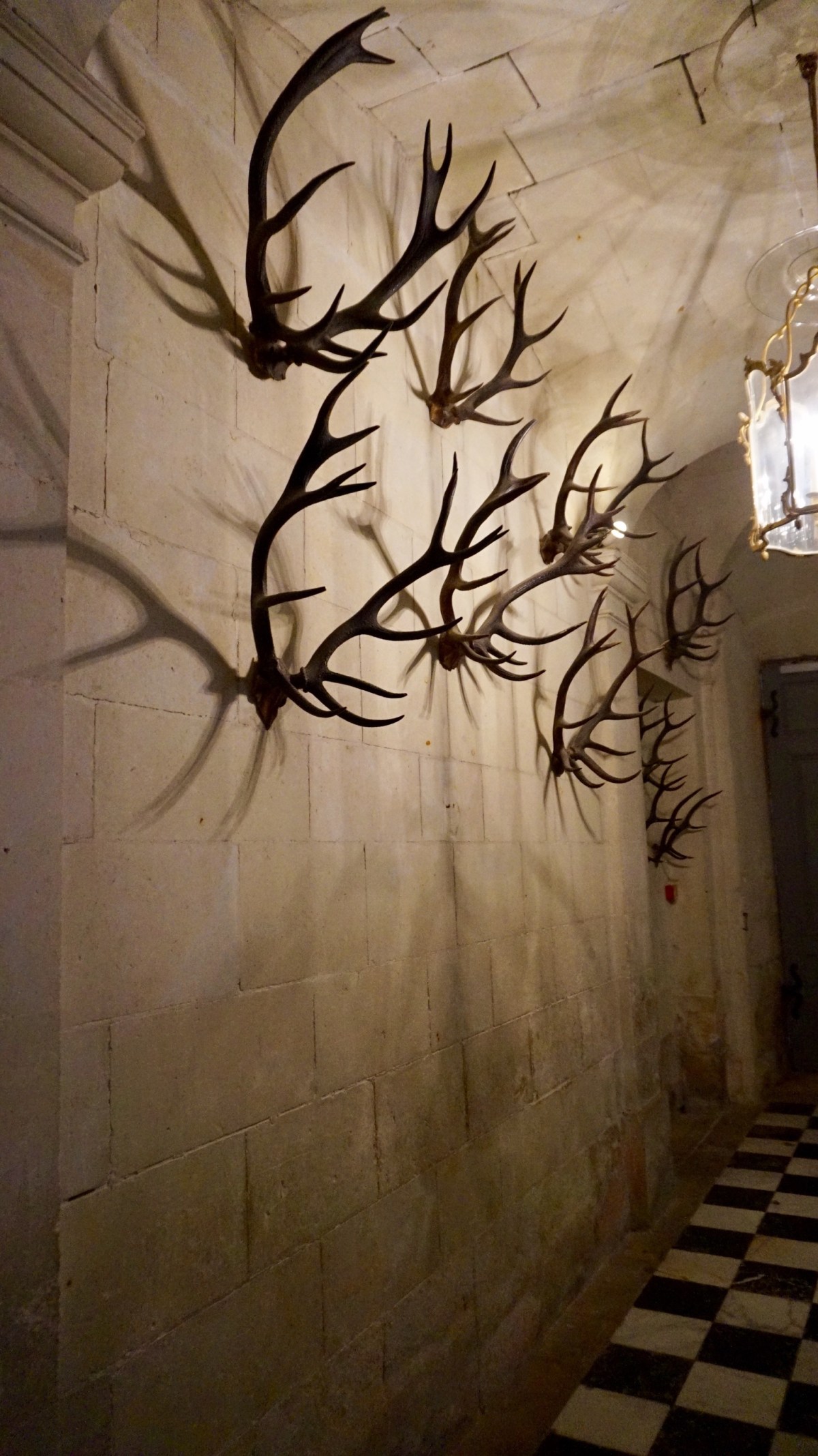 B2D64E85-6BC7-467A-9EBC-3CF092EDF61A