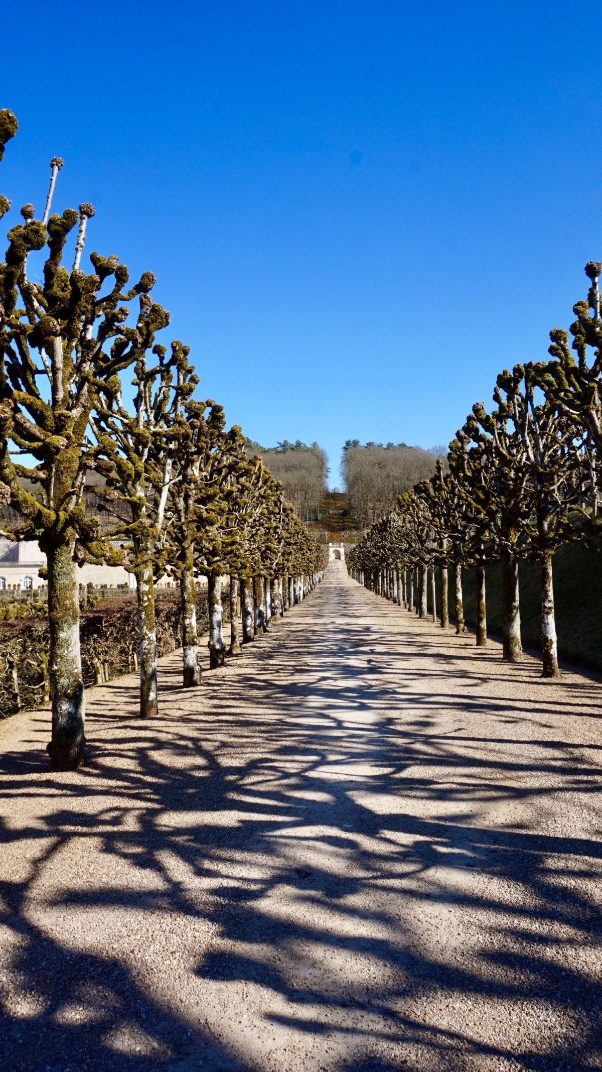 D6AE9032-C375-4CB7-85EB-AE31093933A1