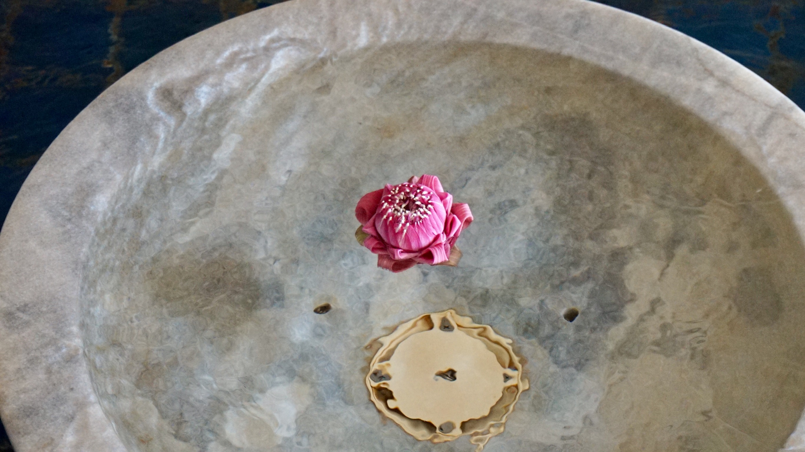 0A40CE25-1750-4687-91C6-71E870E12435