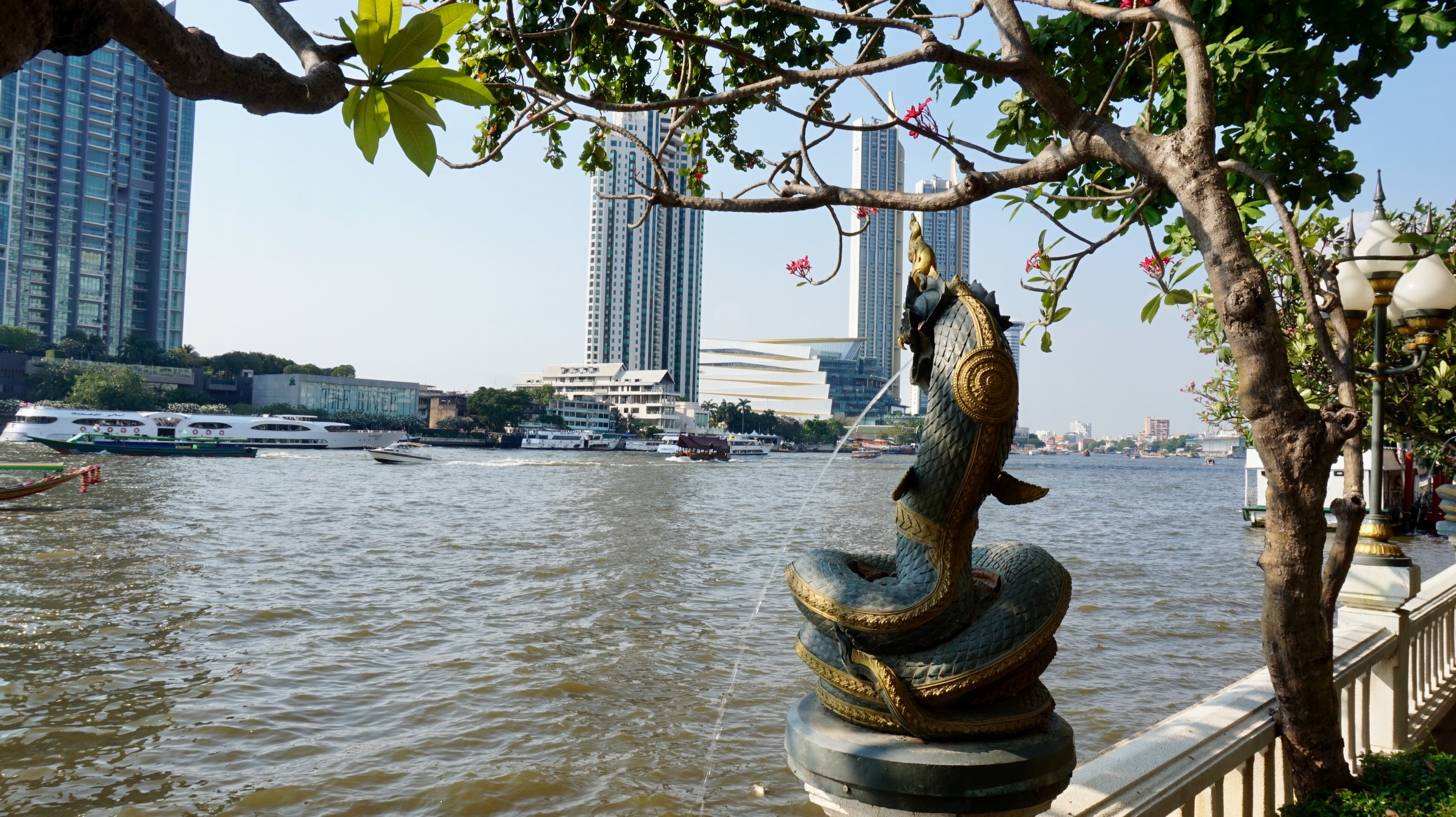 81DA62A8-2602-496E-A557-D6F8566B395A